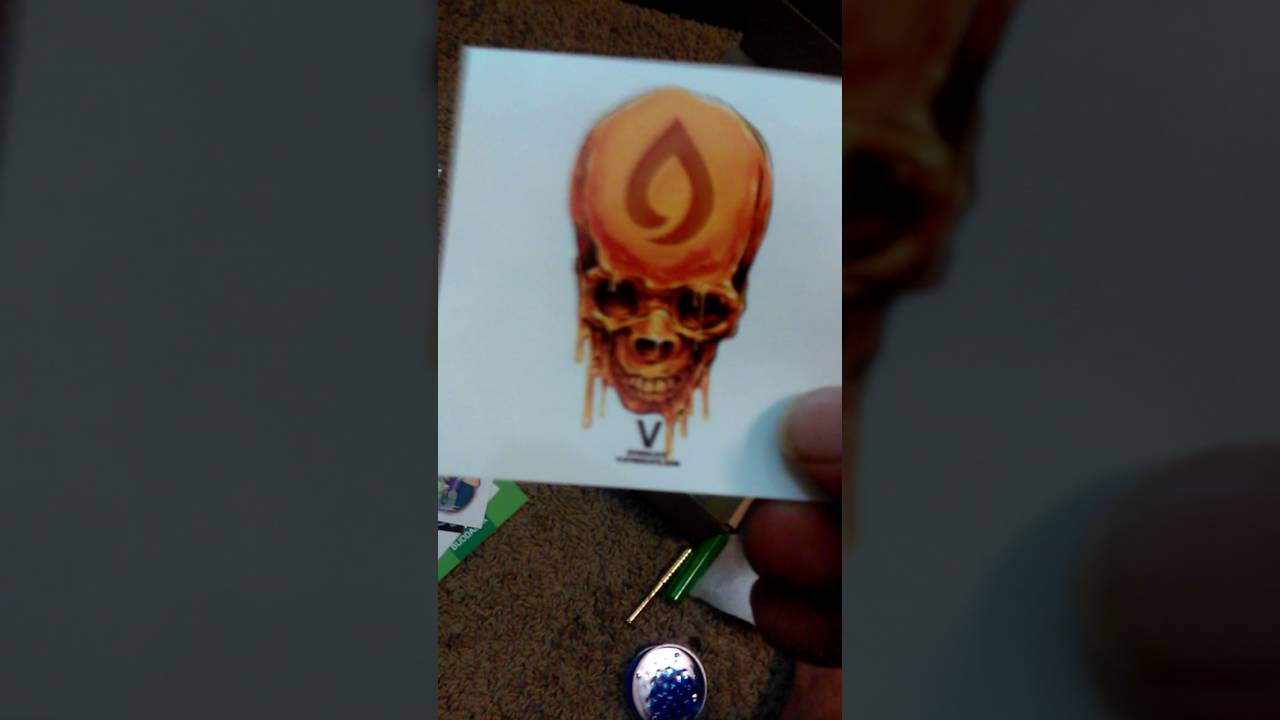 Buddabox unveiling September