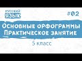 Орфограммы. Практическое занятие 1.