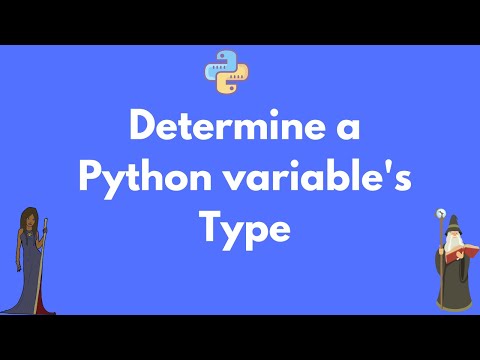 How to determine a Python variable's type