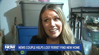 News Couple Helps Lost Ferret Find New Home