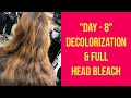 Day 8 - Decolorization & Full Head Bleach by AISHA BUTT