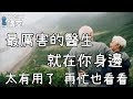 最厲害的醫生，就在你身邊，太有用了，再忙也看看！| 中老年講堂