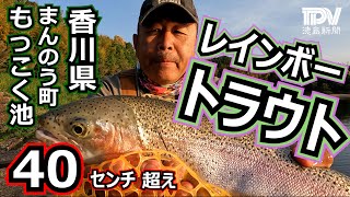 ビッグニジマスGET　香川県まんのう町『もっこく池』　【須見千次郎の釣魚大全】