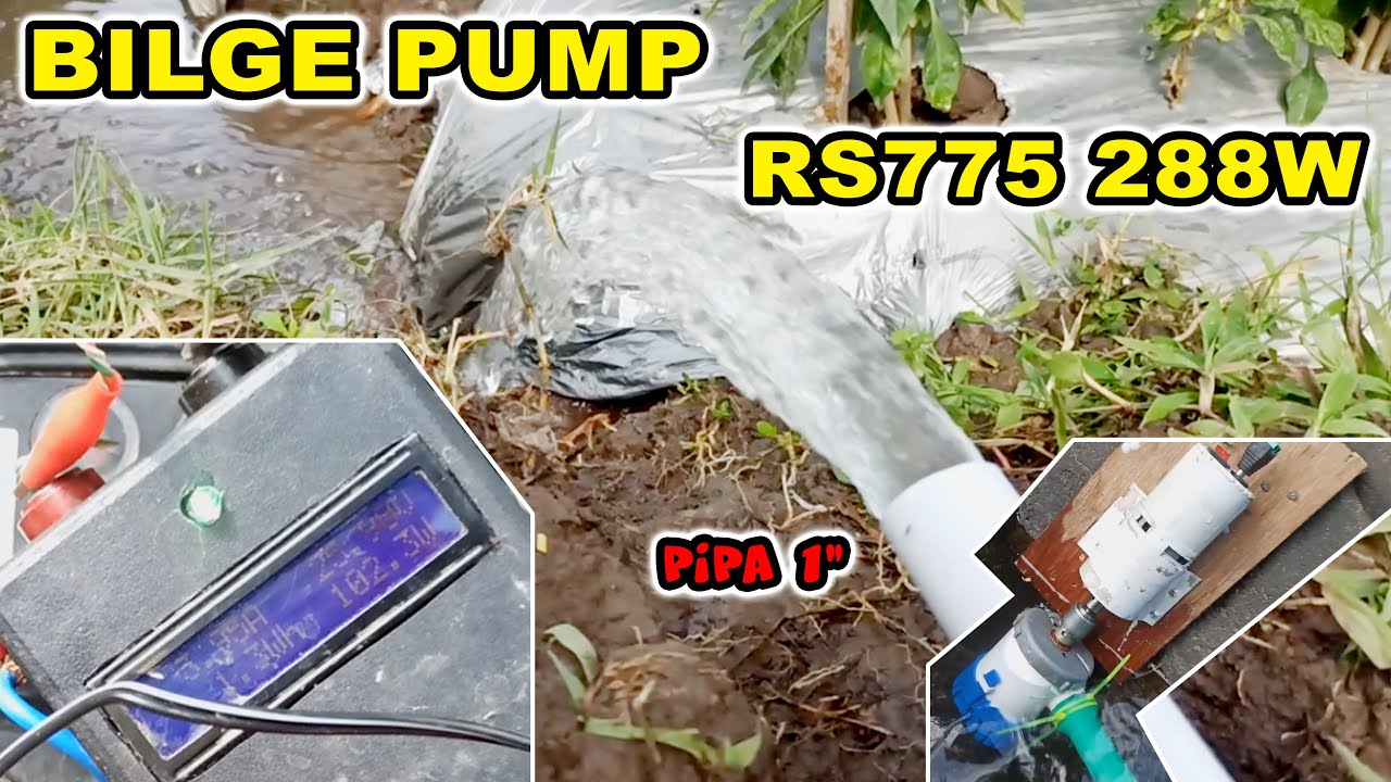 Rivew BILGE PUMP vs dinamo RS 775 12v 24v up to 288w