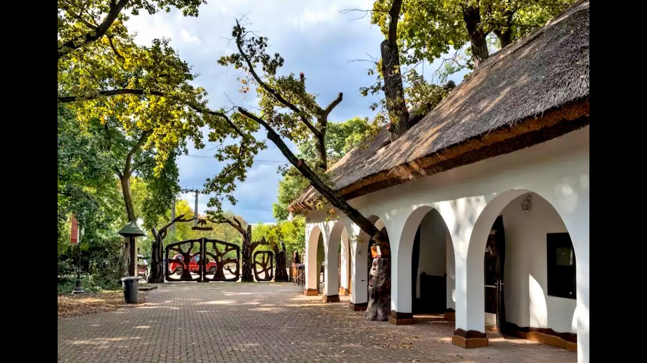 A Szarvasi Arboréum - őszül már a Pepi kert