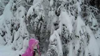 blizzard 2010 part 2