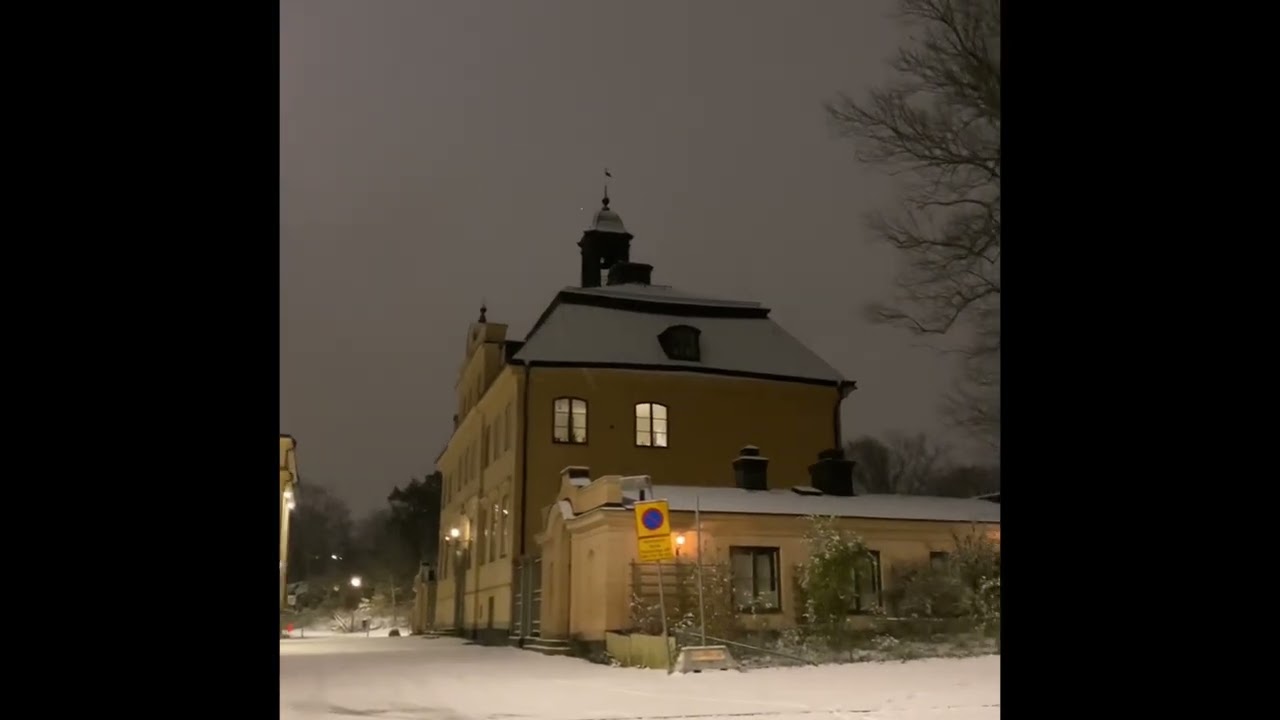 Stockholm walks. Den första snön i år. En kort promenad i parken sent på kvällen.