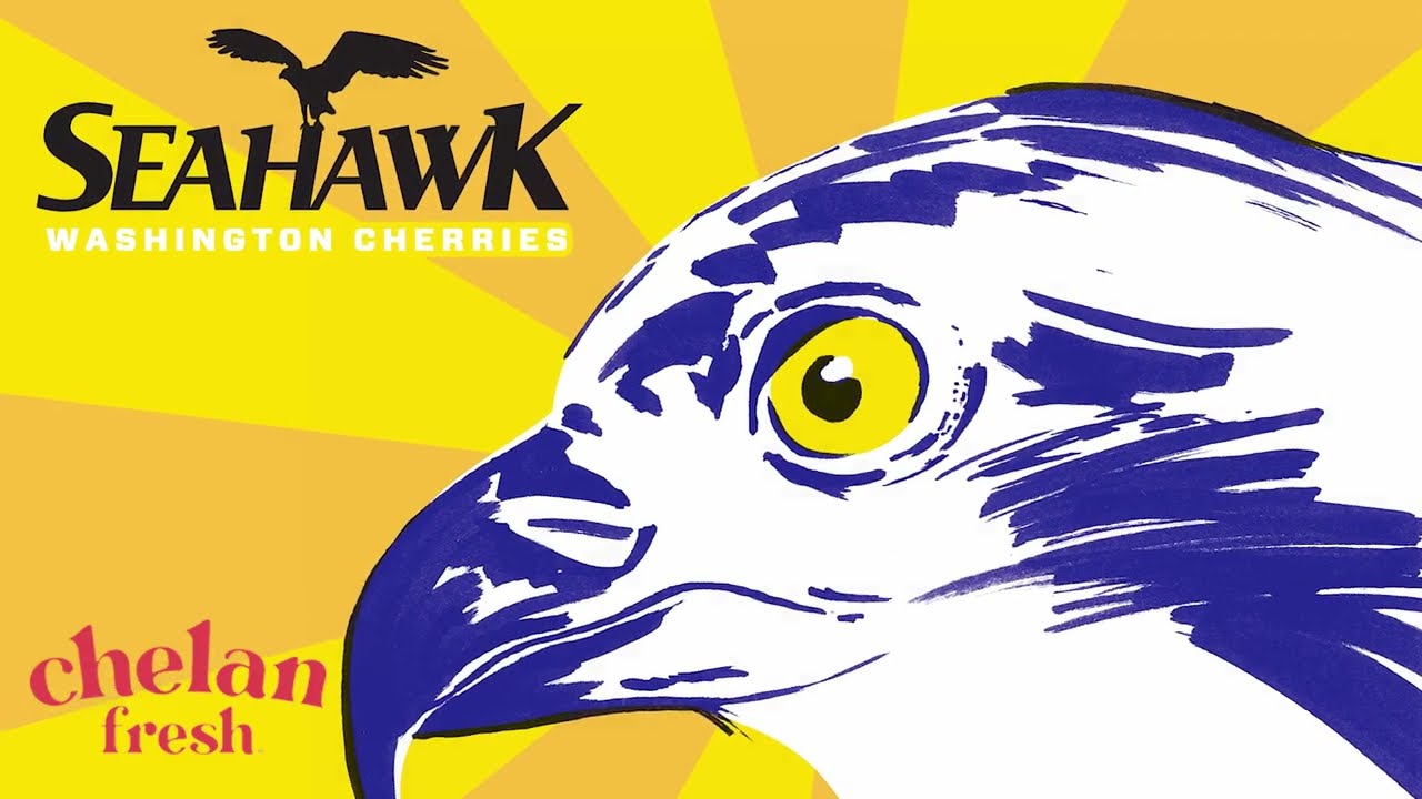 Chelan Fresh - Packing our Seahawk Red Cherries