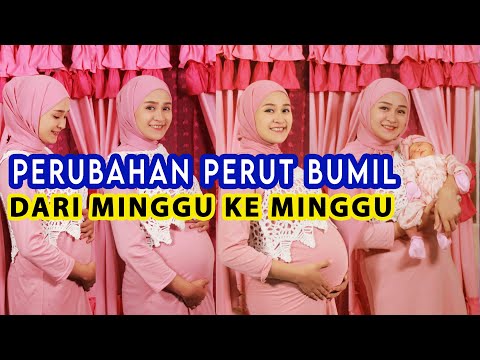 PERUBAHAN PERUT IBU HAMIL DARI MINGGU KE MINGGU