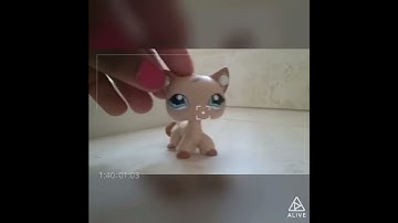 Re-do of the experiment