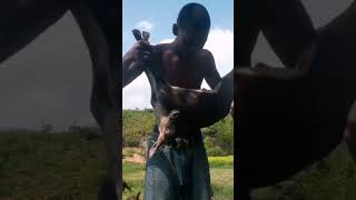 Ganguka Kubera Guterura Impene