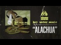Miniature de la vidéo de la chanson Alachua