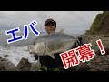 2018 宮崎名物エバ