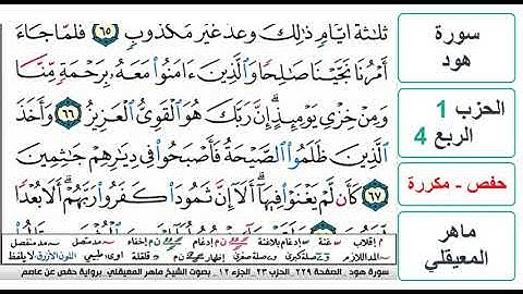 سورة هود - الحزب 1 - الربع 4 - حفص - ماهر المعيقلي - مكررة