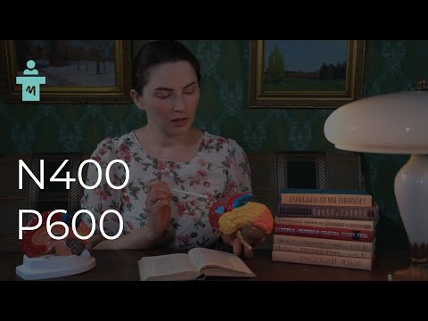 Потенциалы, связанные с событиями: N400 и P600. Цикл лекций по вызванным потенциалам