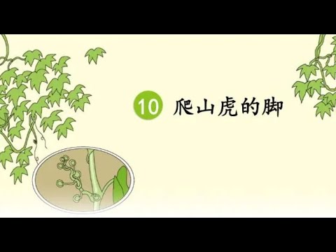 어문4-1학기 10과 爬山虎的脚 원문 읽기