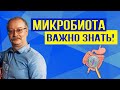 Твоя микробиота! Что такое и зачем нужна?