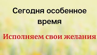 Сегодня Особенное Время. Исполняем Свои Желания. | Тайна Жрицы