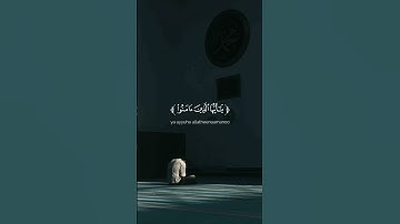الأية 56 من سورة الأحزاب 🎧