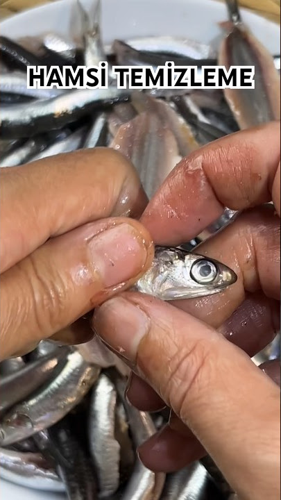 HAMSİ TEMİZLEME 🐟 BALIK AYIKLAMA TEKNİKLERİ #shorts
