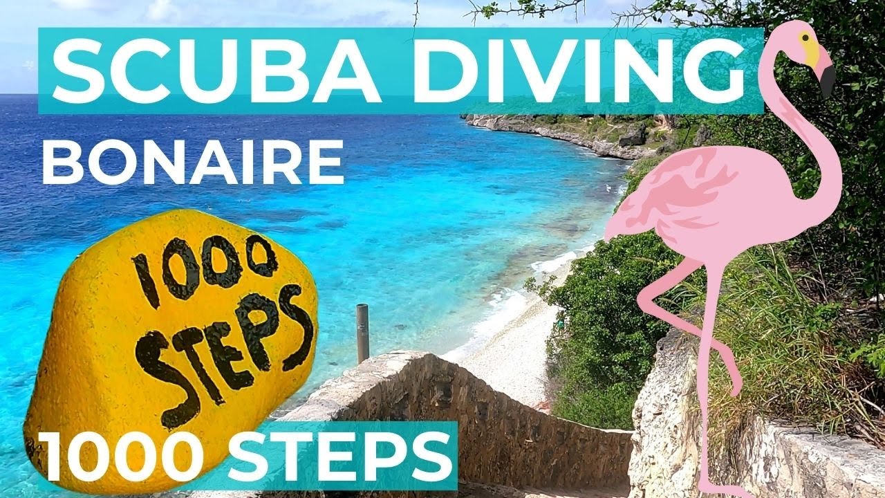 1000 Steps Dive Guide Scuba Diving Bonaire YouTube