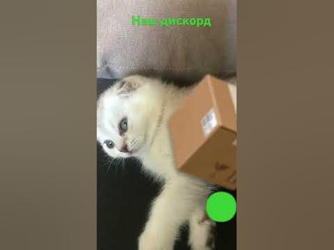 Каспер это первый - YouTube