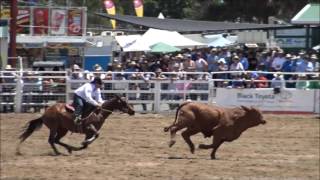 Warwick 2016, Gold Cup Final, Hugh Miles & Honey