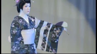 7203 子供大衆演芸 ちび玉 聖弥 温故痴人のブログ