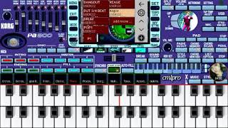 Di tingggal pas sayang Sayange Tanpa kendang (Safira inema) maaf kalau mainya kurang pas