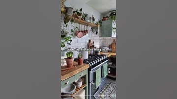 4 Lưu Ý Khi Chọn Cây Phong Thủy Để Nhà Bếp | Cây Cảnh Mini SG