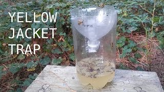 DIY Yellow Jacket Trap  Cheap Easy 2Liter Bottle Trick  All Natural