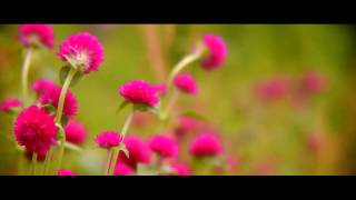 TEST LETUS EXTREME