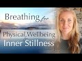 20 min breathing meditation for physical wellbeing and inner stillness  daily routine