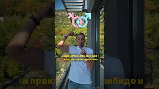 Мышцы, которые меняют всё: осанка, живот, лицо и мужская сила | Упражнения дома