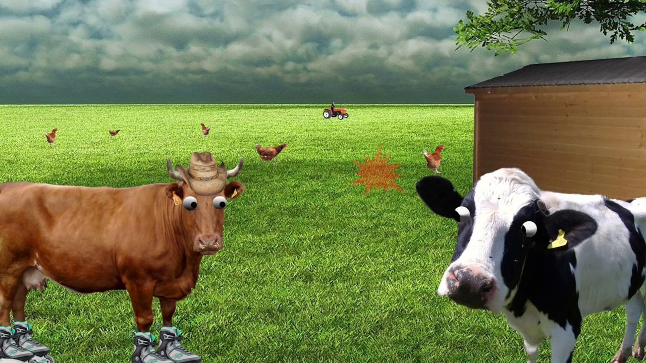 Combustible Corn Cow Series Las Vegas Mobsquad YouTube