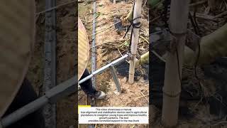 Manual Tree Alignment Device | Smart Plantation Support Technology