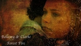 Bellamy & Clarke | Forest Fire