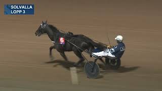 Vidéo de la course PMU PRIX BELLISSIMA