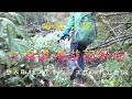 服部文祥の北海道漫遊記【外伝】岳人取材コイカクシュサツナイ岳編
