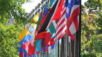 International Orientation for Certifying and Coding COVID-19