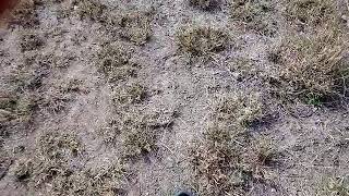 MOV 0624