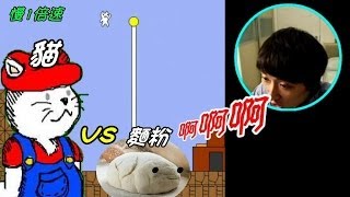 打波子機【Cat Mario】惡搞遊戲試玩