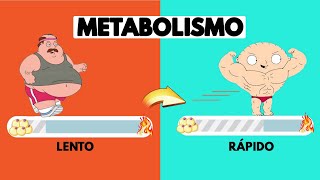 ⚠️Accelerating your Metabolism requires that you know THIS