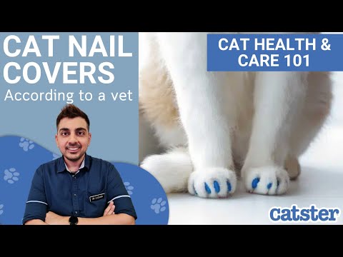 How to Safely Cut Your Cat's Nails (Complete Guide) - YouTube