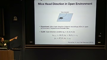 Victor Geadah: Modeling Neural Activity with Conditionally Linear Dynamical Systems