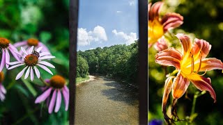 Nature Flower Walk POV Photography / Sony A6600 / Tamron 17-70 F2.8