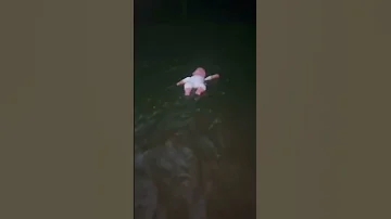 Scary TikTok Don T Watch Alone 