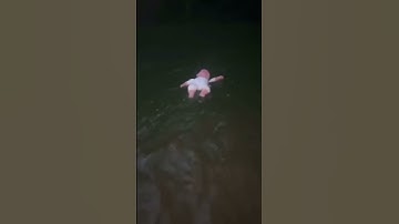 Thumbnail of Scary TikTok don’t watch alone 😱😨