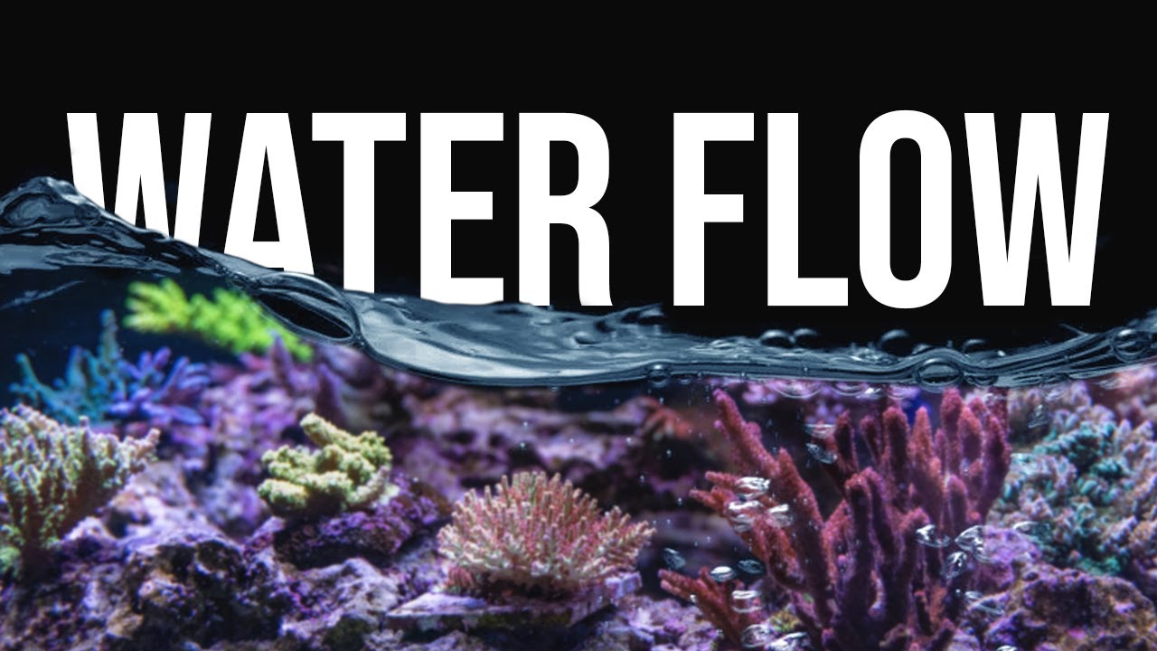 Давайте создадим идеальный поток воды!