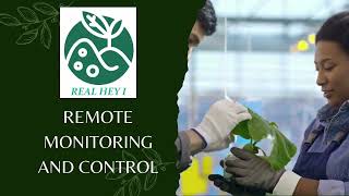 Elevate Your Farm's Potential with Smart IoT Solutions | Real Hey i